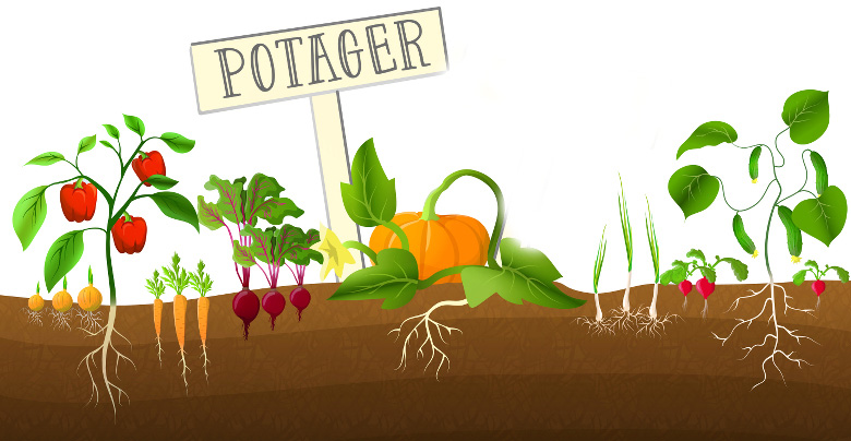 Potager